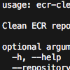 ECR Cleanup